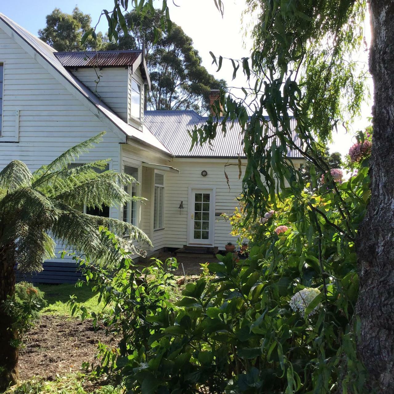 Harrison House Bed & Breakfast Стран Екстериор снимка